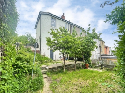 Picture 13